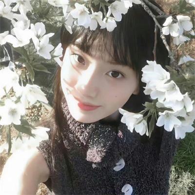 叛国疑云